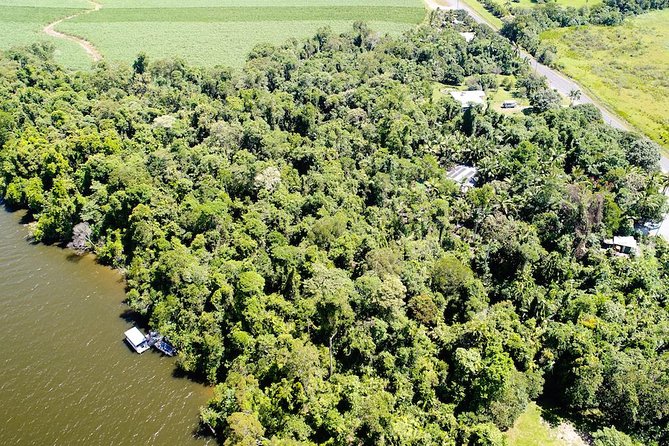 1-Hour Daintree River wildlife cruise - Morning, lunch, or afternoon choices