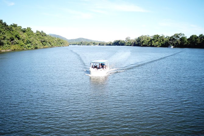 1-Hour Daintree River wildlife cruise - Rain, heat, and the practical side of the boat