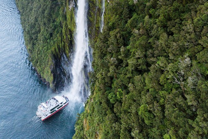 2-Hour Milford Sound Scenic Cruise - Seals, Dolphins, and Crested Penguins