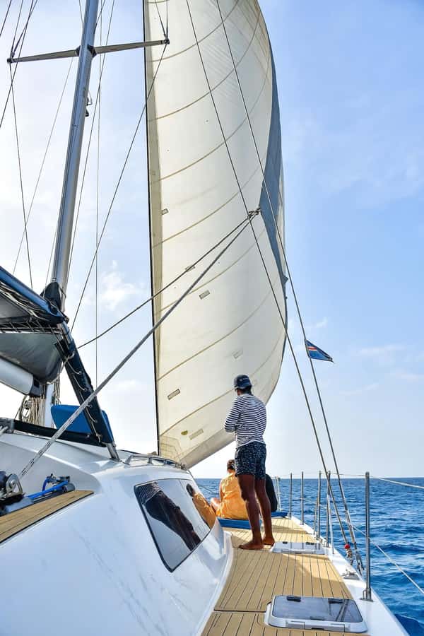 3-hour Catamaran Adventure on the waters of Sal Island - Wildlife sightings depend on luck