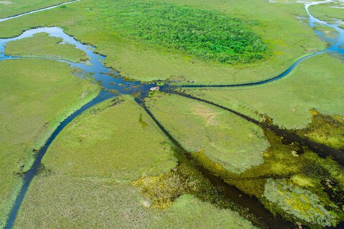 60 min. Everglades Airboat ride & pick-up ,small group +pro guide - A guide-led introduction on the road
