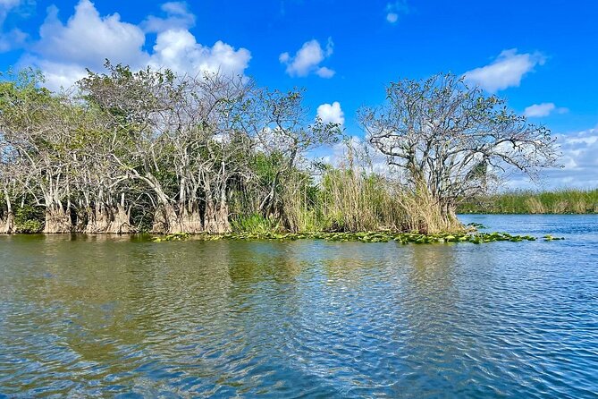 60 min. Everglades Airboat ride & pick-up ,small group +pro guide - A short visit to the Everglades, not a full park exploration