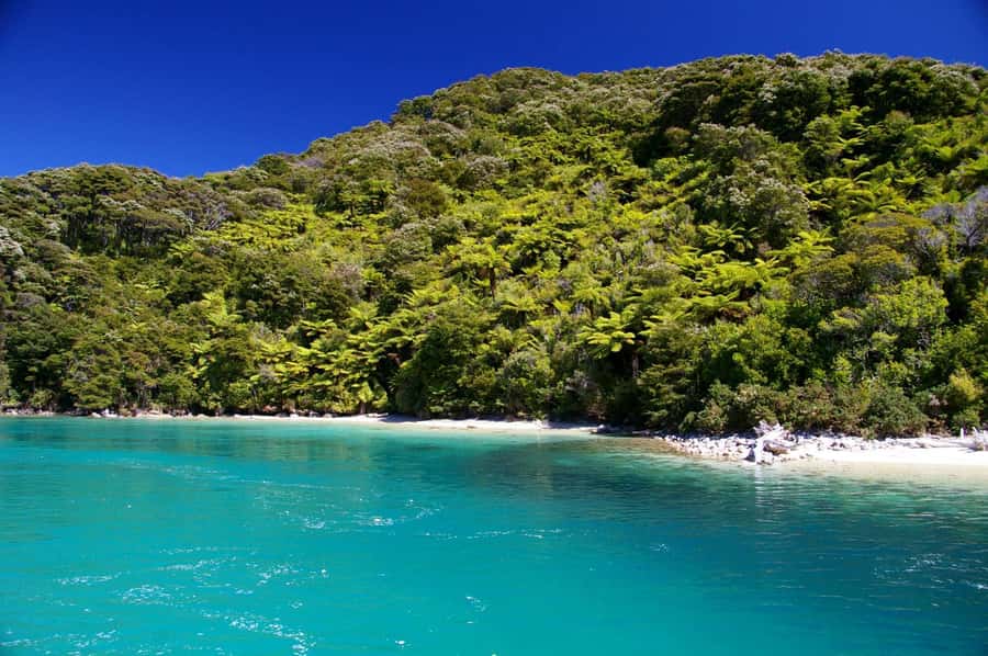 Abel Tasman National Full Park Scenic Cruise - Tonga Quarry and the story of the park