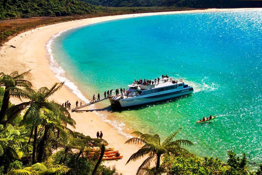 Abel Tasman: Sea Shuttle Cruise and Walking Tour Combo - Option A: Apple Tree Bay to Anchorage Beach