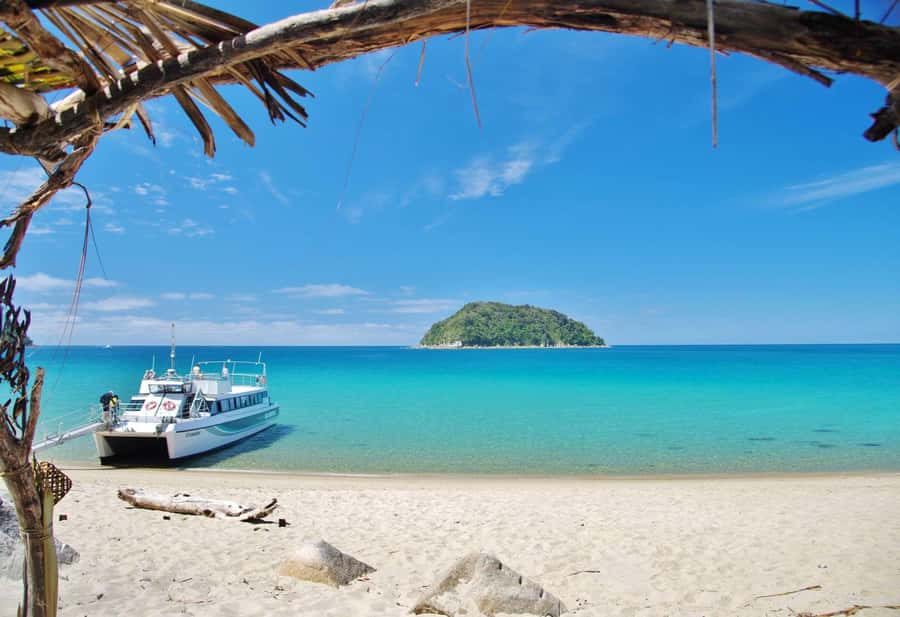 Abel Tasman: Sea Shuttle Cruise and Walking Tour Combo - Option B: Medlands Beach, swing bridge, and Cleopatra’s Pool