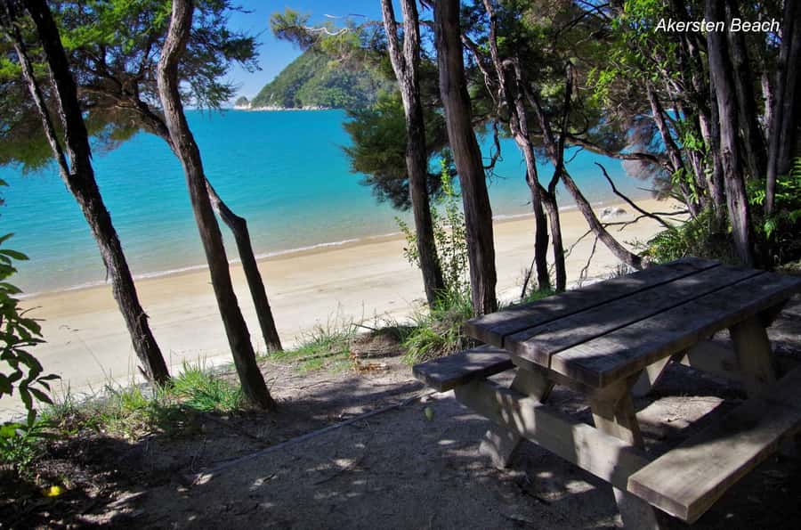 Abel Tasman: Sea Shuttle Cruise and Walking Tour Combo - Option C: five beaches from Awaroa to Medlands
