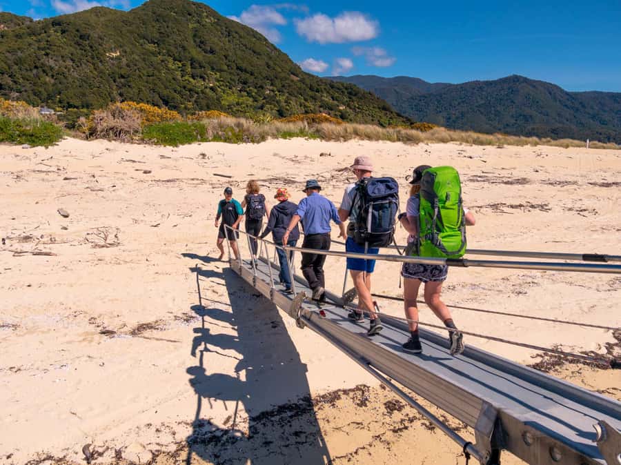 Abel Tasman: Sea Shuttle Cruise and Walking Tour Combo - Timing matters more than the map suggests