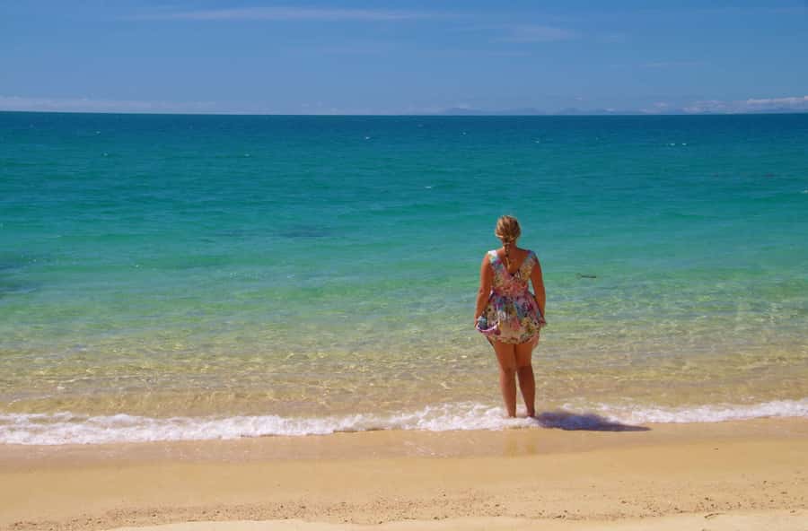 Abel Tasman: Sea Shuttle Cruise and Walking Tour Combo - What to pack for the Abel Tasman coast