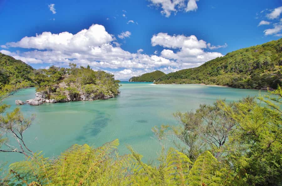 Abel Tasman: Sea Shuttle Cruise and Walking Tour Combo - Is $74 a fair price?