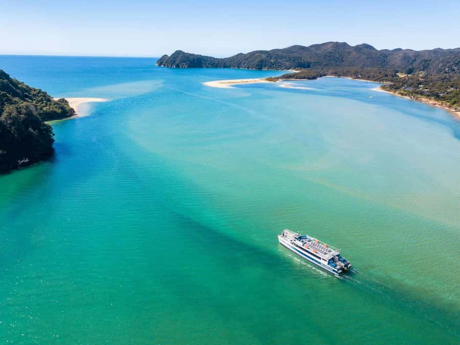 Abel Tasman: Sea Shuttle Cruise and Walking Tour Combo - The cruise from Kaiteriteri to the walking trail