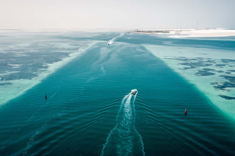 Abu Dhabi: 4-Hour Guided Cruise & Island Hopping - Key things to know before you book
