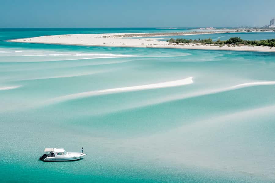 Abu Dhabi: 4-Hour Guided Cruise & Island Hopping - Dolphin Island: clear water, little onshore activity