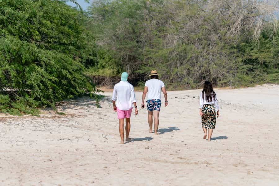Abu Dhabi: 4-Hour Guided Cruise & Island Hopping - Al Maya Island Resort gives the afternoon structure