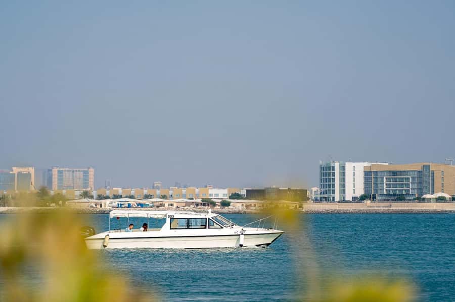 Abu Dhabi: 4-Hour Guided Cruise & Island Hopping - Who will enjoy this cruise most?