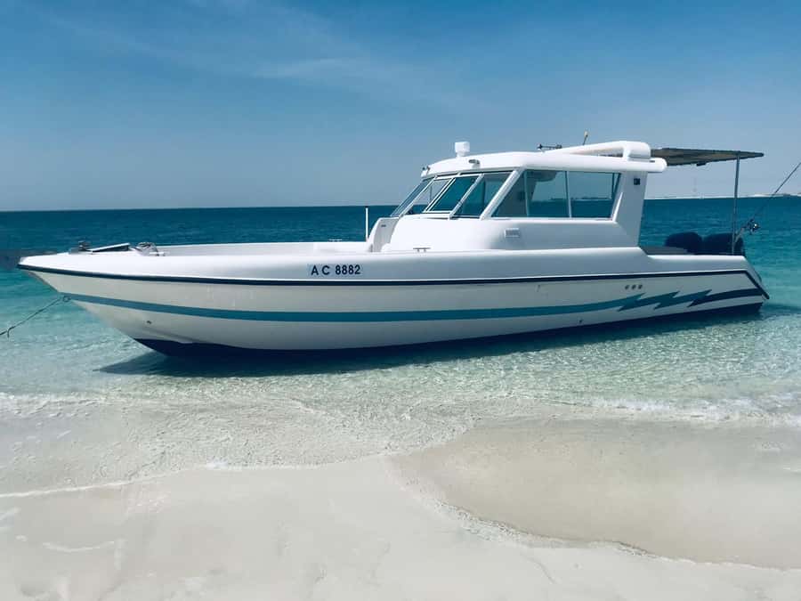 Abu Dhabi: 4-Hour Guided Cruise & Island Hopping - Why the island route is the real appeal