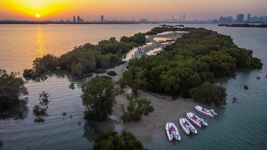 Abu Dhabi: Yas Island Self-Driving Guided Speedboat Tour - Mangrove Alley and the search for flamingos