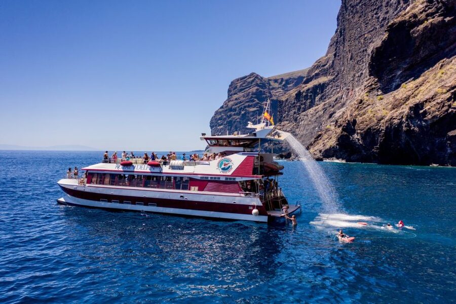 Adeje: Whale and Dolphin Watching Cruise with Lunch and Swim - Should you book it?