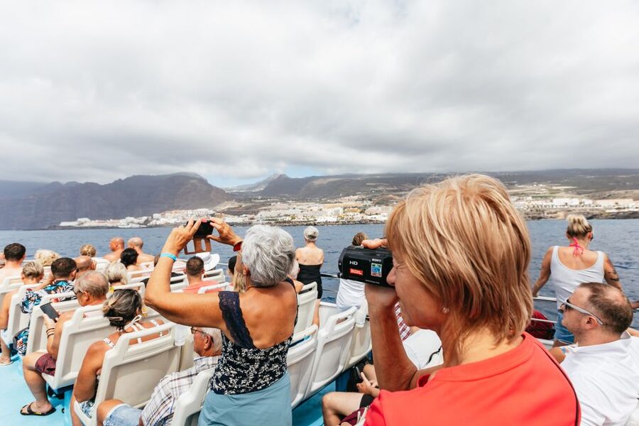 Adeje: Whale and Dolphin Watching Cruise with Lunch and Swim - Seasickness, clothing, and access