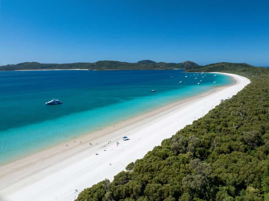 Airlie Beach: Hill Inlet Lookout and Whitehaven Beach Cruise - Two hours on Whitehaven Beach