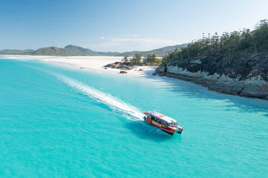 Airlie Beach: Whitehaven Full-Day Eco-Cruise with Buffet - Five things to know before booking