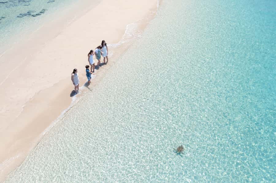 Airlie Beach: Whitehaven Full-Day Eco-Cruise with Buffet - What the $162 price includes