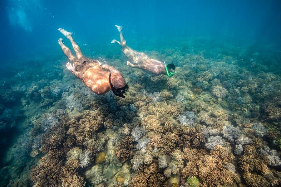 Airlie Beach: Whitehaven Full-Day Eco-Cruise with Buffet - Who will enjoy this day most