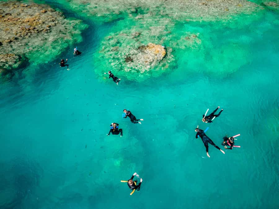 Airlie Beach: Whitsunday Islands 2-Day Sailing Tour - Snorkeling the Whitsunday reefs