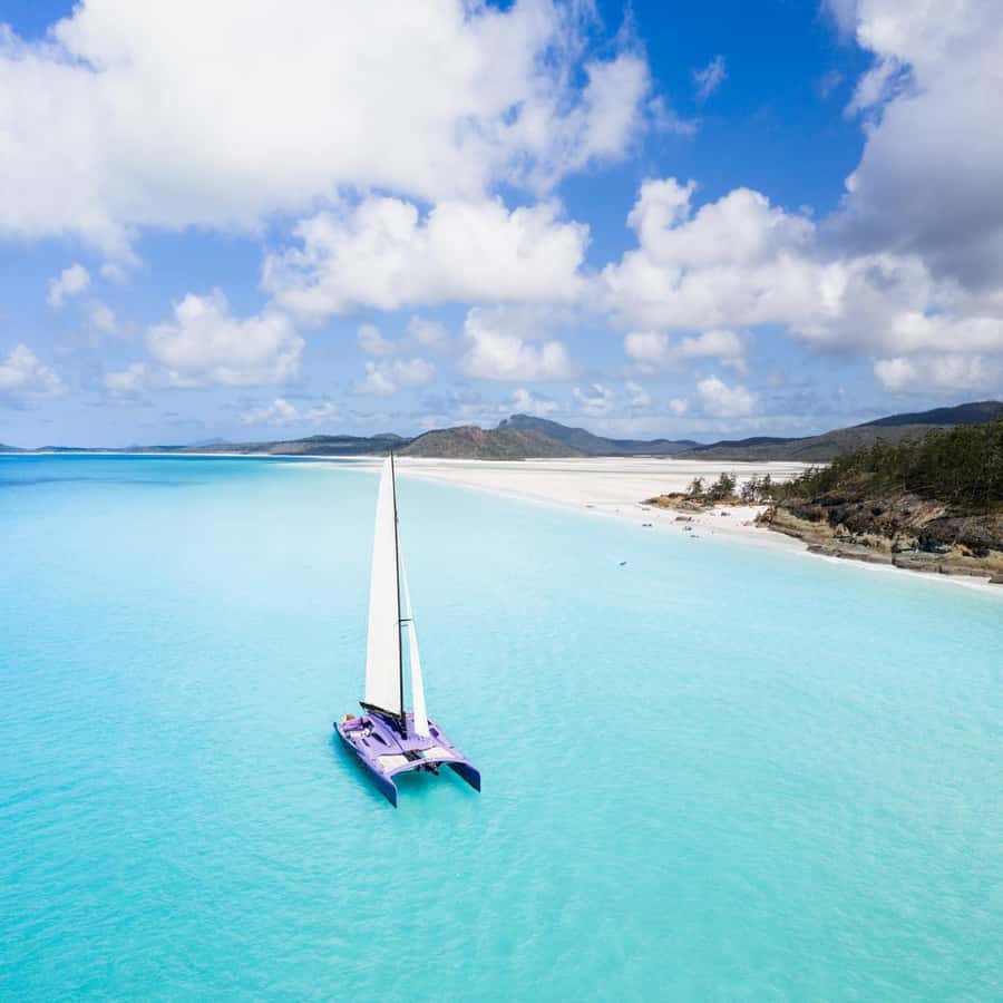 Airlie Beach: Whitsundays Full-Day Camira Sailing Adventure - Crew service and the tone onboard