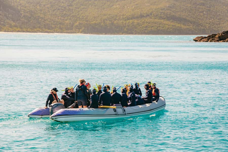 Airlie Beach: Whitsundays Full-Day Camira Sailing Adventure - Starting early at Port of Airlie
