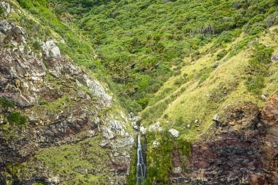 Akaroa: Dolphin Nature Cruise - Seals, penguins, and other harbor life