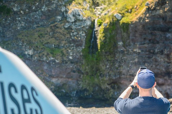 Akaroa Dolphins ~ Harbour Nature Cruise - Comfort, Families, and Accessibility