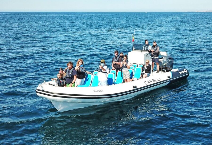 Albufeira: Benagil Cave and Dolphin Sightseeing Boat Cruise - Searching for dolphins in the wild