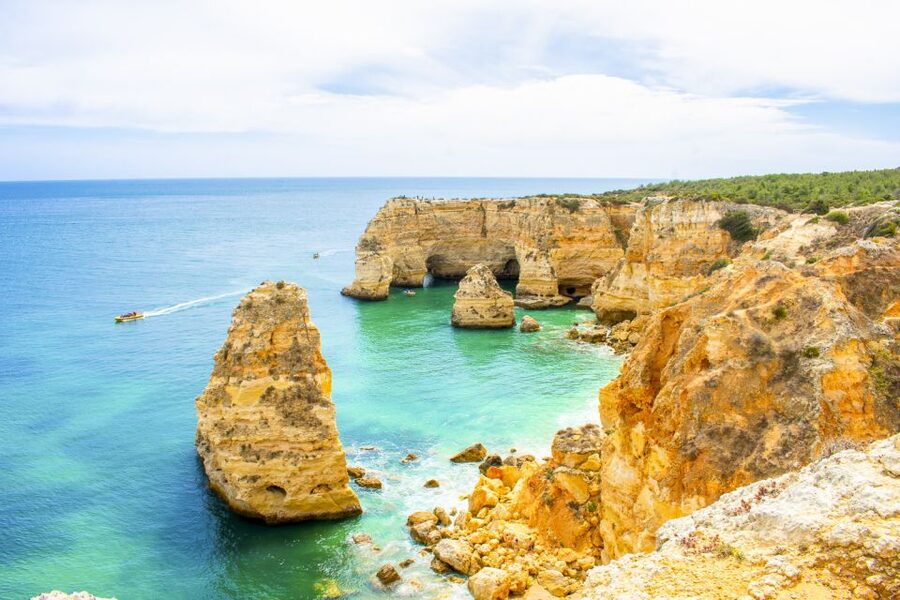Albufeira: Benagil Caves & Dolphin Watching Speed Boat Tour - Is $40 a fair price?