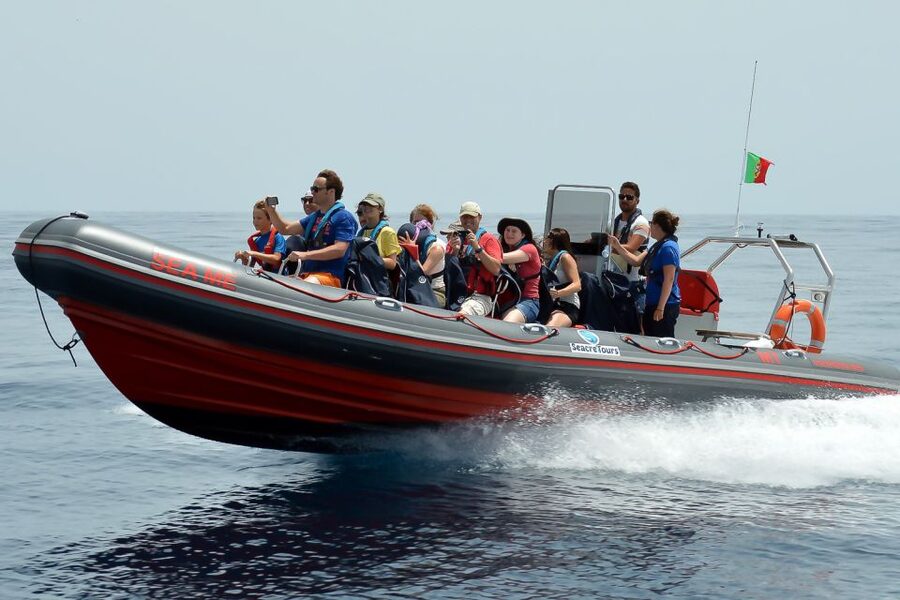 Albufeira: Dolphin Watching and Benagil Cave Boat Cruise - Key Points Before You Book