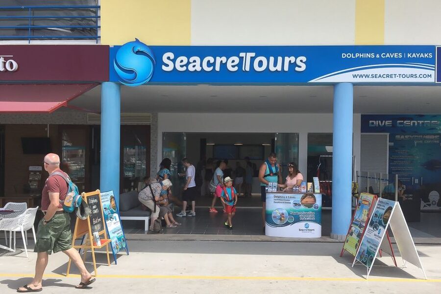 Albufeira: Dolphin Watching and Benagil Cave Boat Cruise - The Algarve Coast from Sea Level