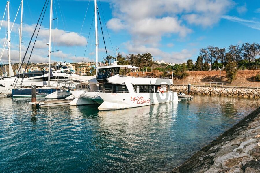 Albufeira: Sightseeing Cruise with Beach BBQ and Open Bar - What the Open Bar Actually Includes