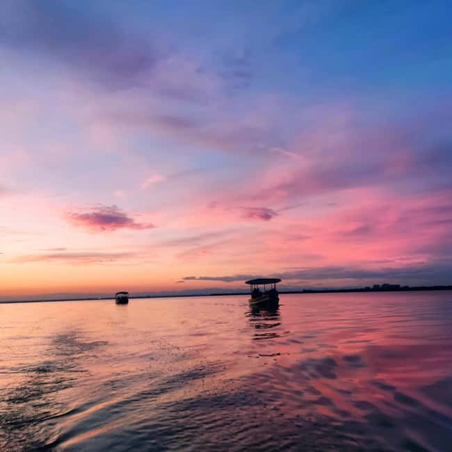 Albufera de Valencia: boat ride and visit to a barraca - Small details that can make the outing easier