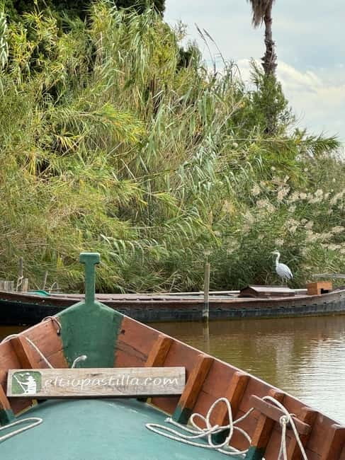 Albufera Valencia: Guided electric boat ride, also at sunset - The 45 minute electric boat ride