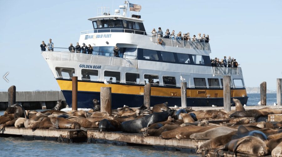 Alcatraz Island Prison Tour & Bay Cruise Combined Package - The separate bay cruise