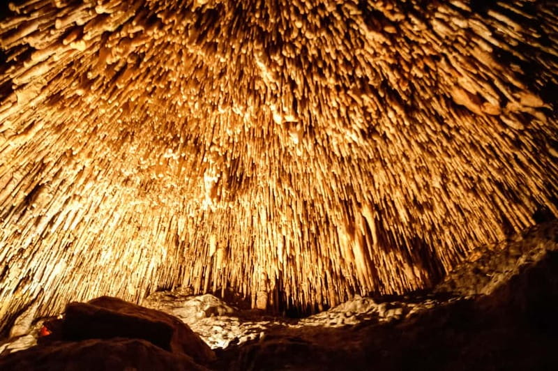 Alcudia: Caves of Drach Tour from the North with Boat Trip - Key points to know before booking