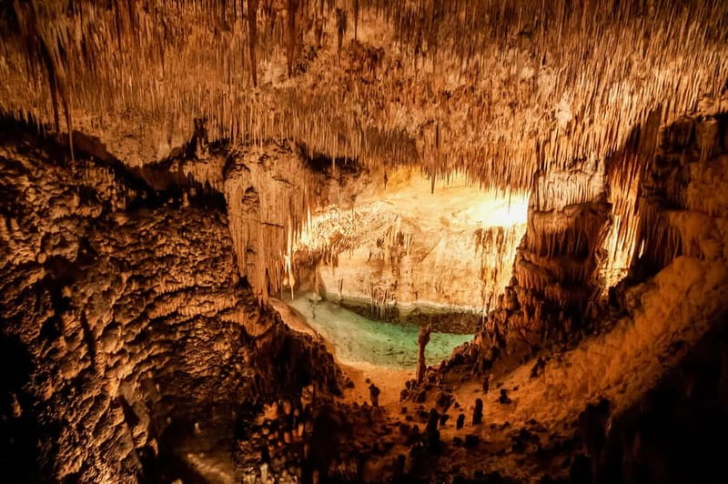 Alcudia: Caves of Drach Tour from the North with Boat Trip - Who should book this Caves of Drach tour?