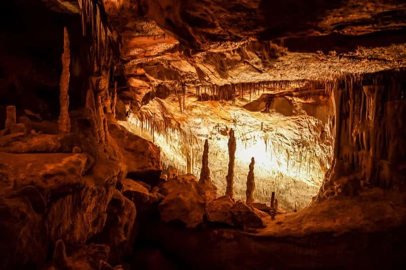 Alcudia: Caves of Drach Tour from the North with Boat Trip - The 300 steps matter more than the cave temperature