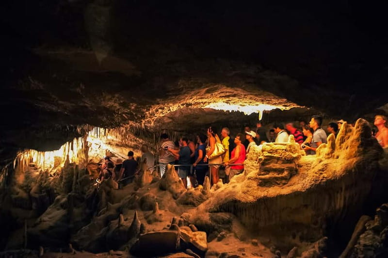 Alcudia: Caves of Drach Tour from the North with Boat Trip - Porto Cristo adds a pleasant coastal break