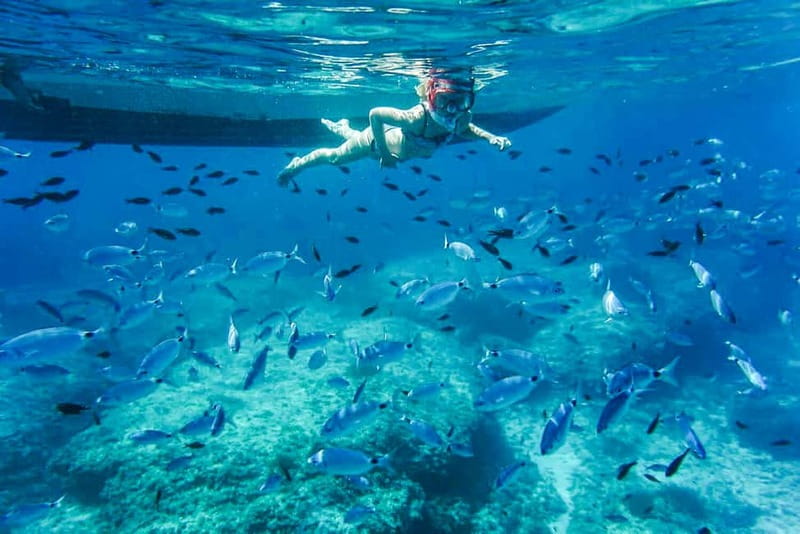 Alcudia: Formentor Beach, Lighthouse Cruise, and Small Group - Cap Pinar and the best swimming stops