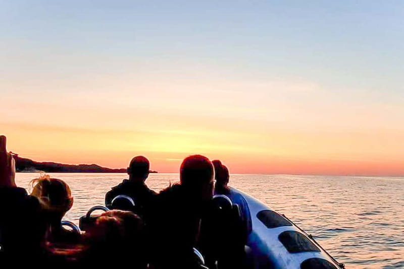 Alcudia: Formentor Beach, Lighthouse Cruise, and Small Group - Is $94 good value for four hours?