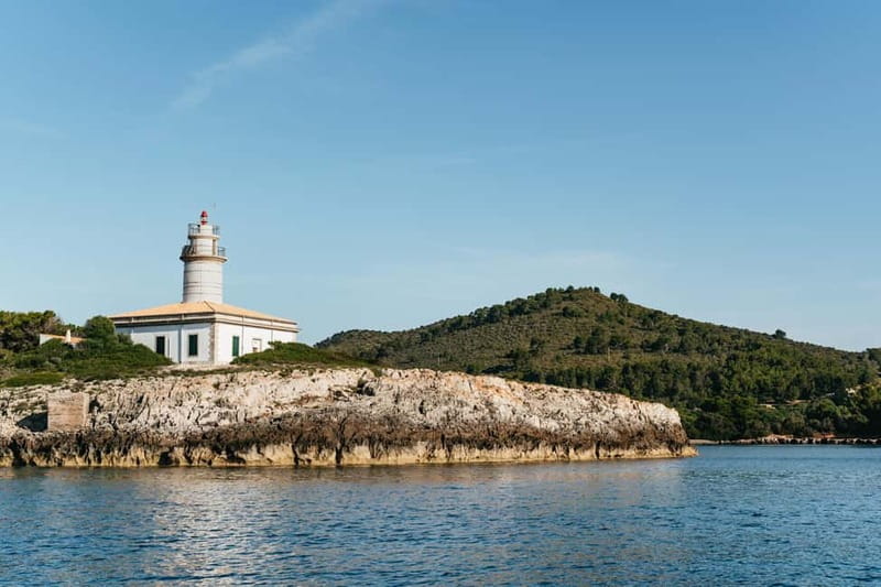 Alcudia or Can Picafort: Dolphin-Watching Cruise - Key points to know before booking