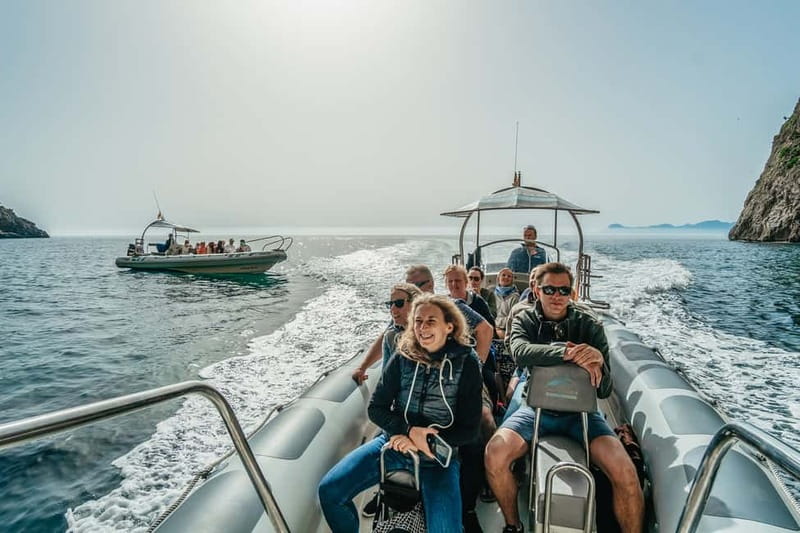 Alcudia or Can Picafort: Dolphin-Watching Cruise - Practical advice for getting the most from the trip