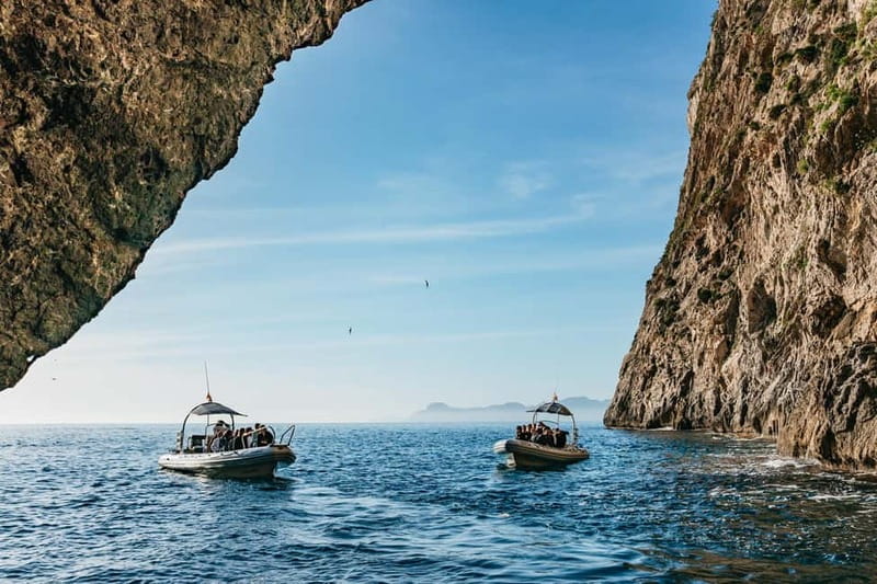 Alcudia or Can Picafort: Dolphin-Watching Cruise - Finding the dolphins off Mallorca