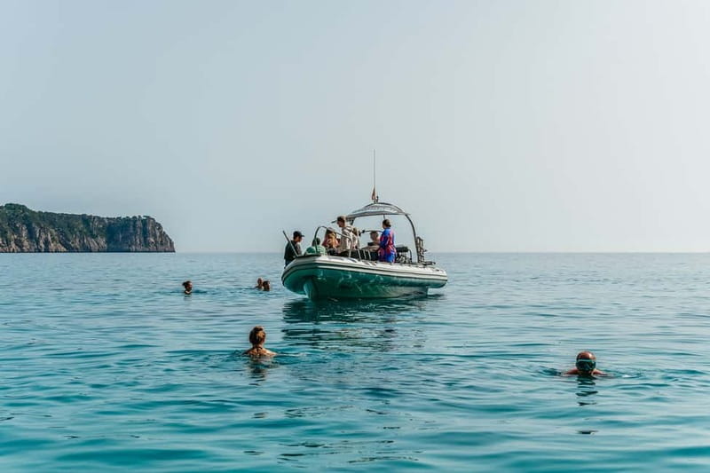 Alcudia or Can Picafort: Dolphin-Watching Cruise - Cabo Formentor, cliffs, and sea caves