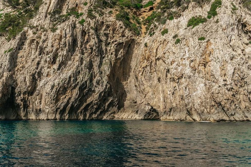 Alcudia or Can Picafort: Dolphin-Watching Cruise - Who will enjoy this most?